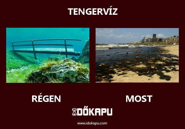 Tengervíz
 
 title=