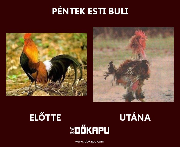 Péntek esti buli
title=