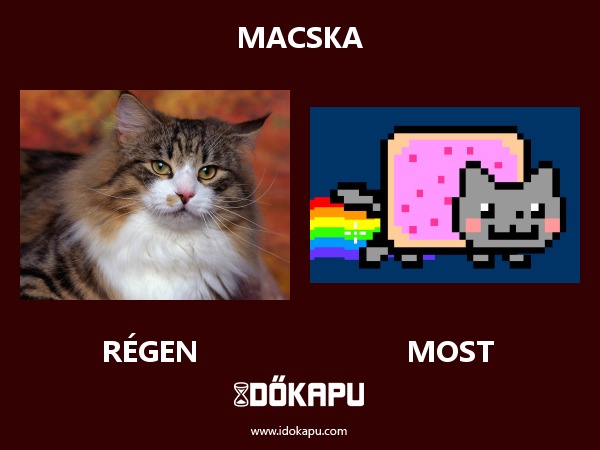 MACSKA
 
 title=