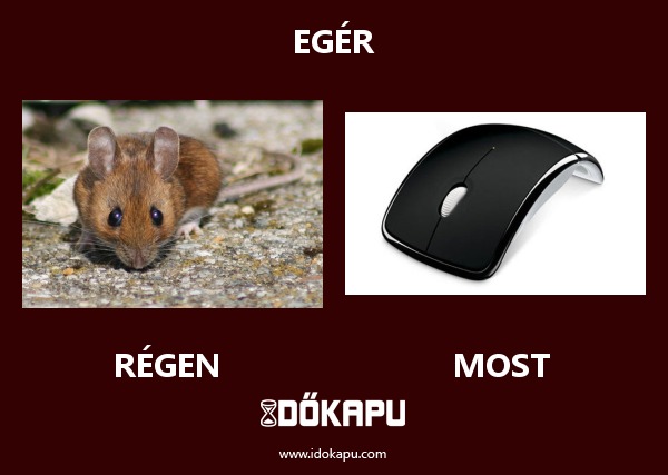 Egér
 
 title=