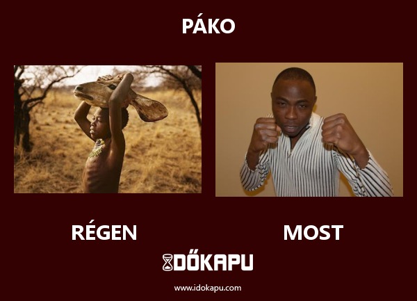 Páko
 
 title=