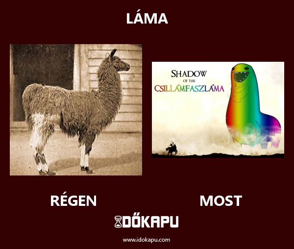 Láma
 
 title=