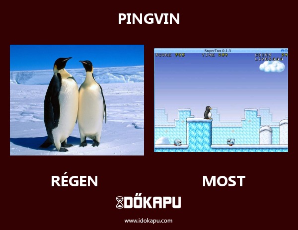Pingvin
 
 title=
