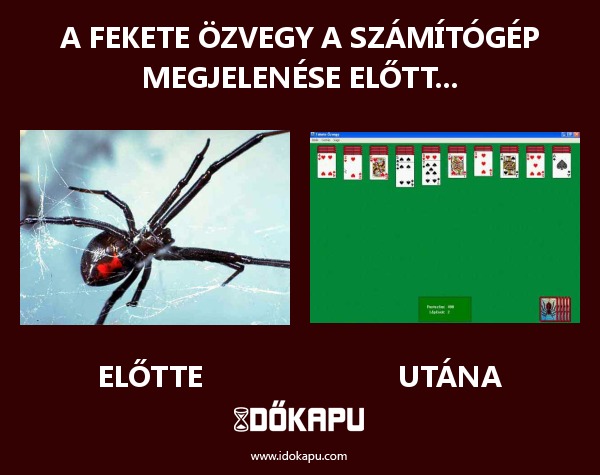 A fekete özvegy a számítógép megjelenése előtt...
title=