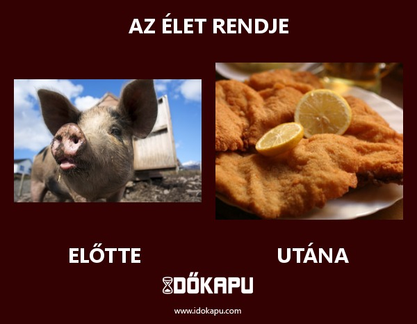 Az élet rendje
 
 title=