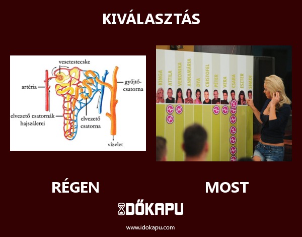 Kiválasztás
 
 title=