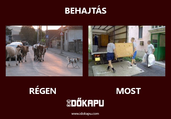 Behajtás
 
 title=