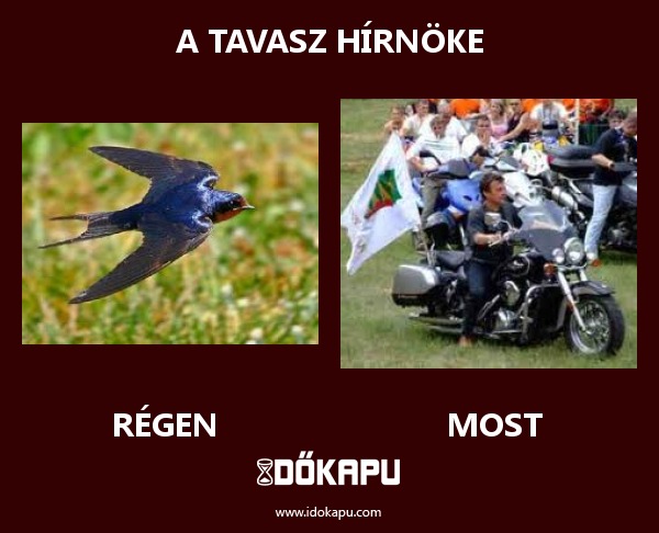 A tavasz hírnöke
 
 title=
