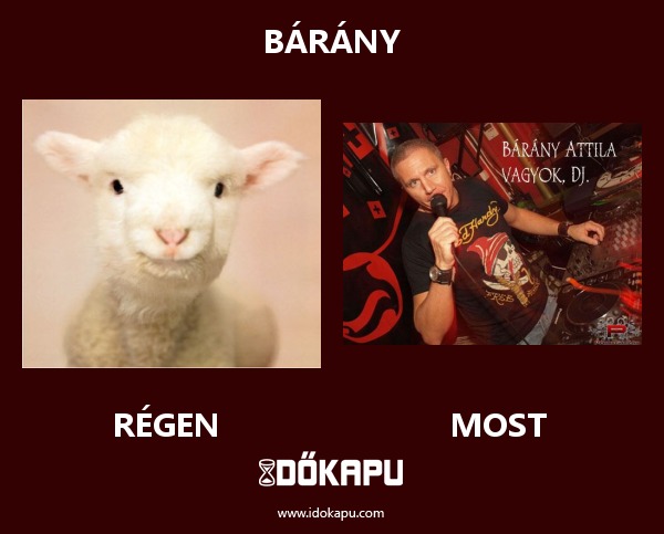 Bárány
 
 title=
