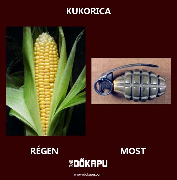 Kukorica
 
 title=