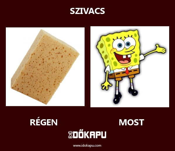 szivacs
 
 title=