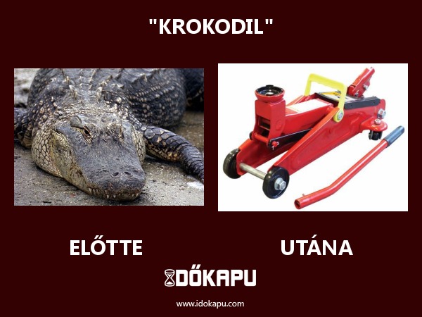 "KROKODIL"
title=