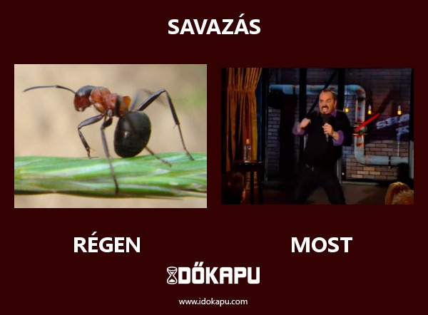 Savazás
 
 title=