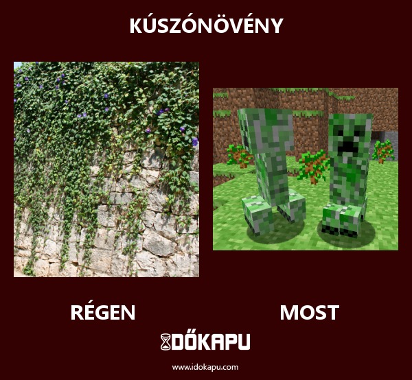 Kúszónövény
title=