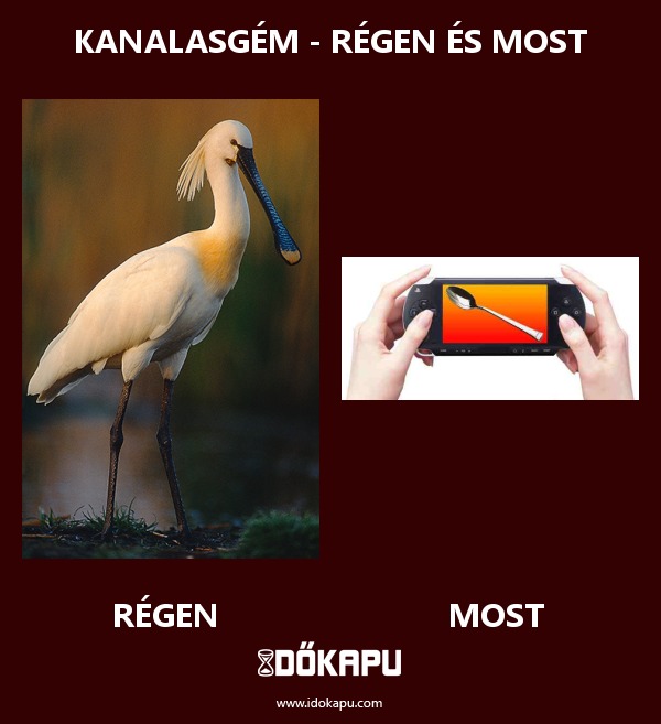 Kanalasgém - régen és most
 
 title=