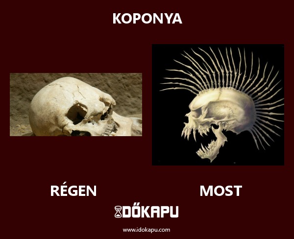 Koponya
 
 title=