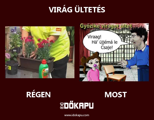 Virág ültetés
 
 title=
