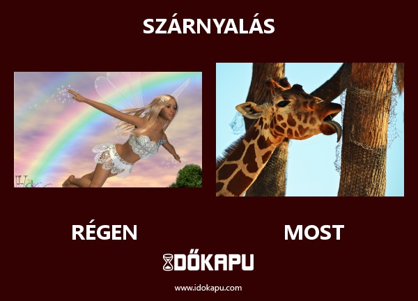 SZÁRNYALÁS
 
 title=