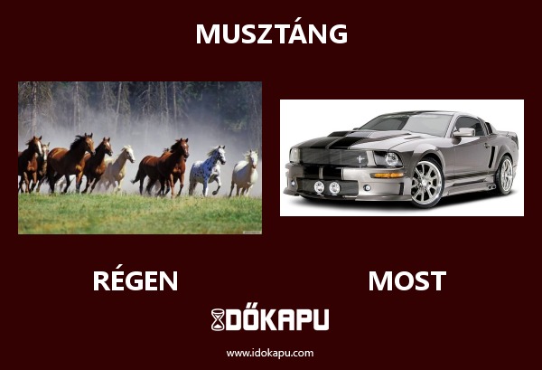 Musztáng
 
 title=