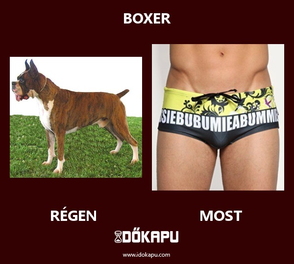 Boxer
 
 title=