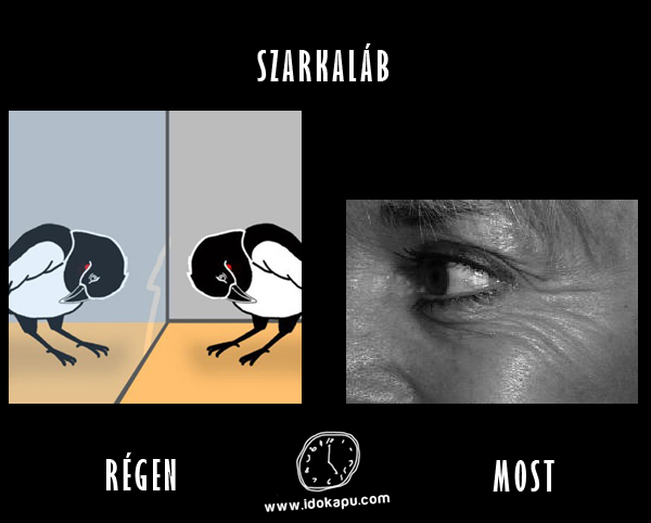 Szarkaláb
 
 title=